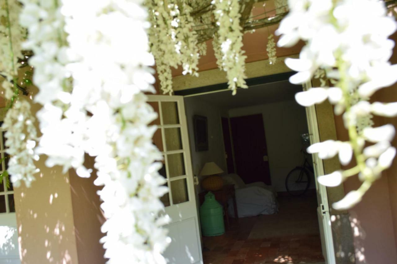 Вілла Quinta Da Varzea Сінтра Екстер'єр фото